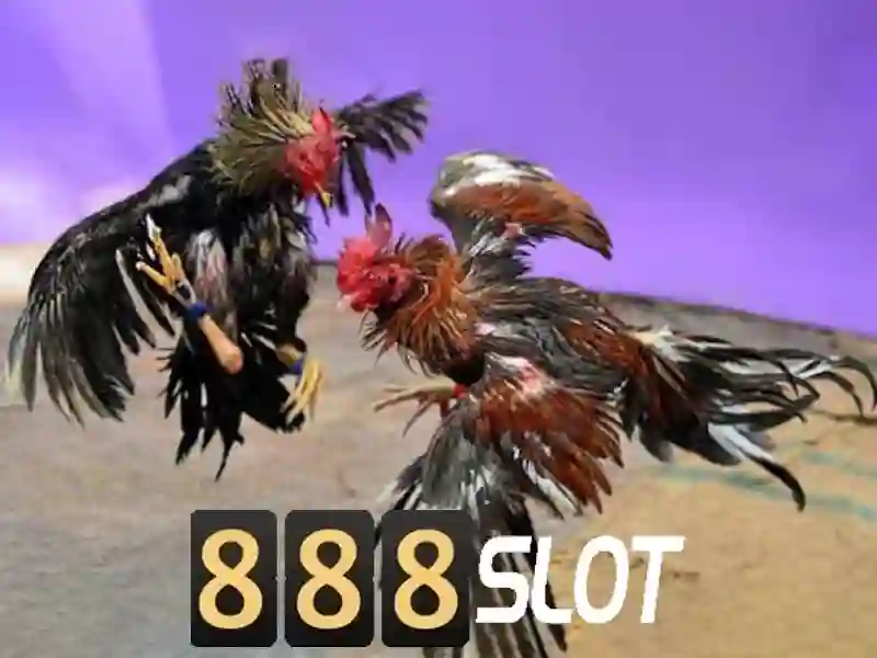 Tại sao chọn 888slot cho trải nghiệm slots