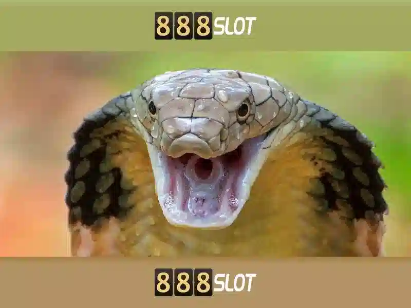 888slot: Tổng quan về nền tảng casino trực tuyến nổi bật