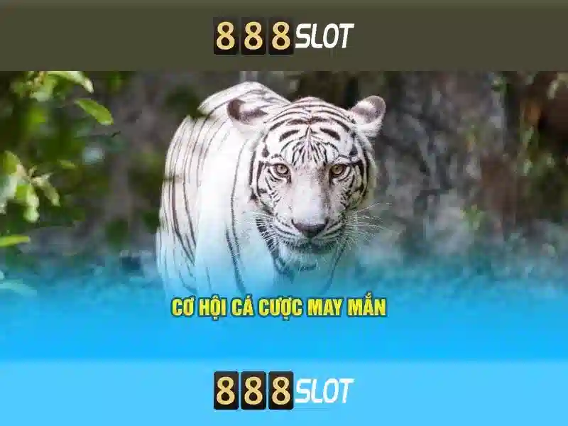 Giao diện nhà cái hoàn hảo