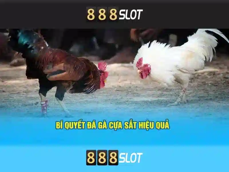 Giao diện nhà cái hoàn hảo
