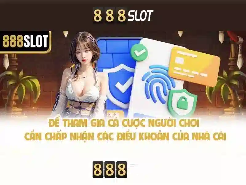 An toàn, thanh toán và hỗ trợ khách hàng