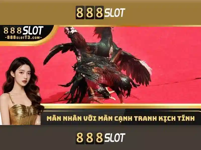 https://888slot.de.com/images/text/888slot/888slot-text260305946.webp Khuyến mãi và thưởng