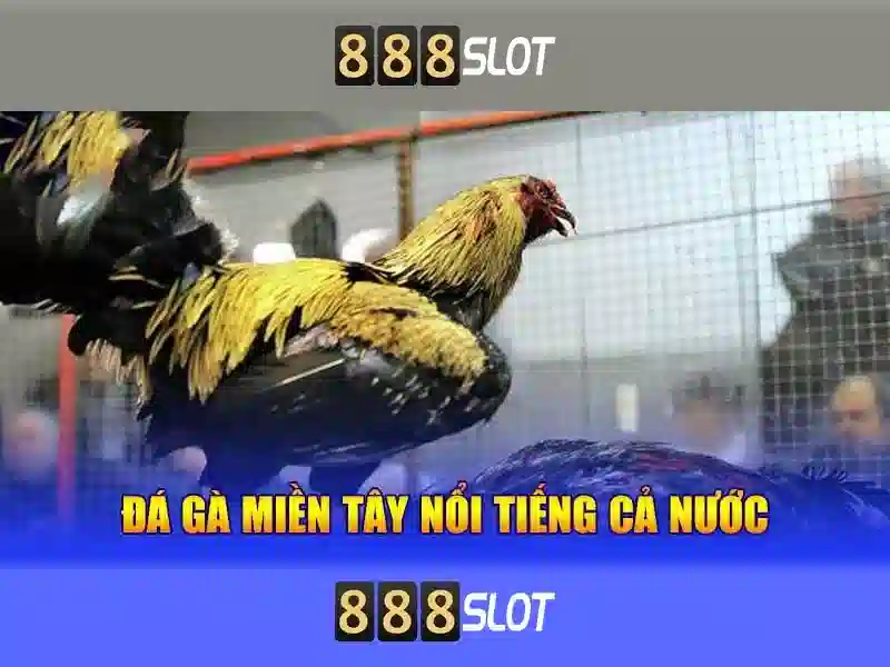 Giao diện người dùng và trải nghiệm di động