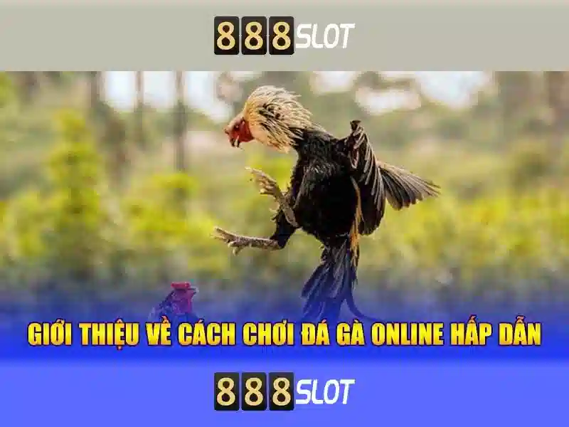 Giao diện nhà cái hoàn hảo