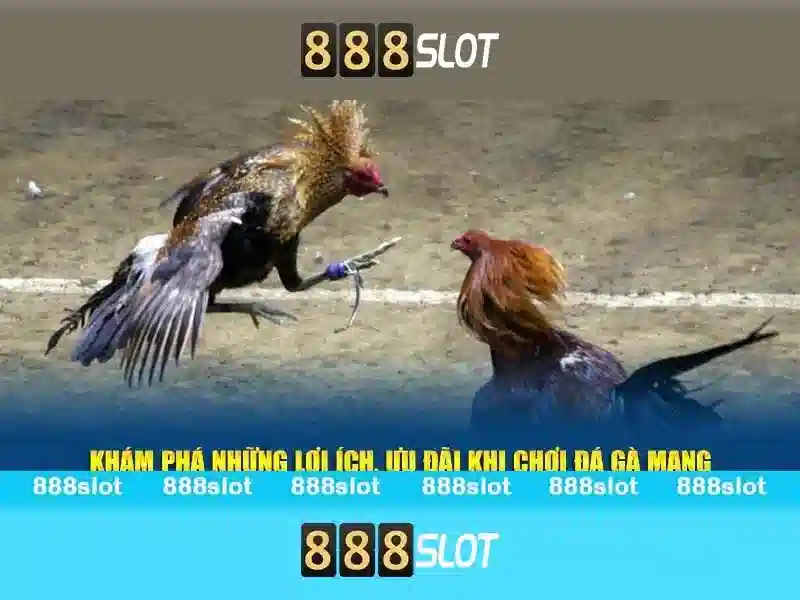An toàn và bảo mật tại 888slot