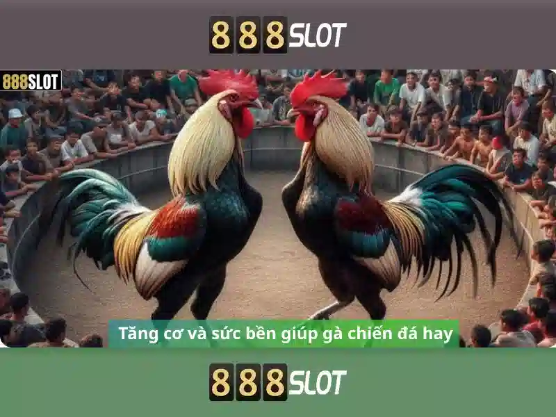 mi 888 slot – Tổng quan chủ đề và giá trị cốt lõi