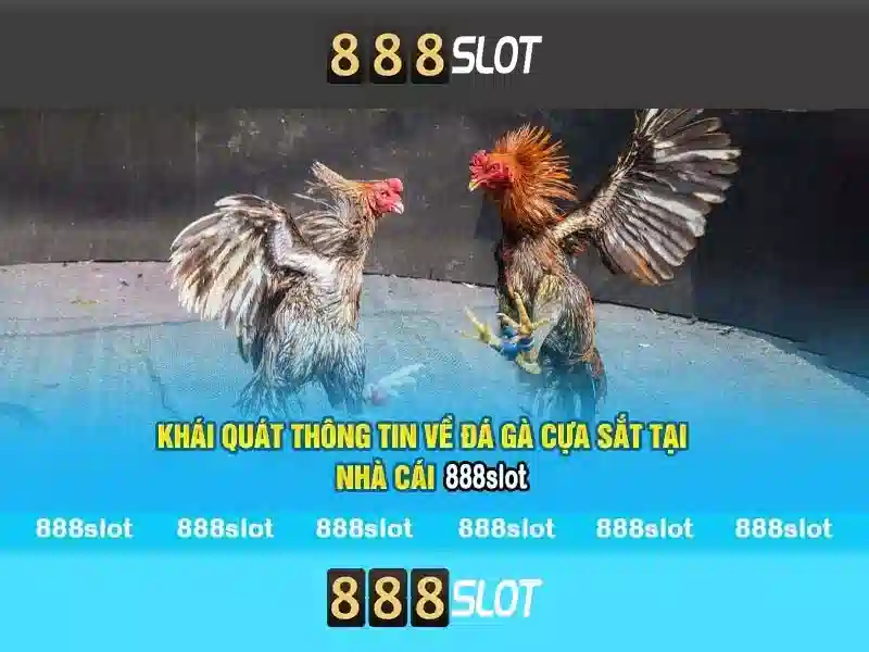 Giới thiệu về 888slot