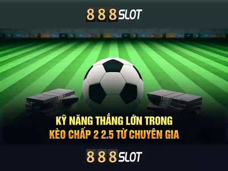 Giao diện và trải nghiệm người dùng