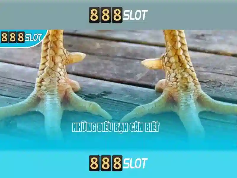 888slot: Trang web slot trực tuyến hàng đầu