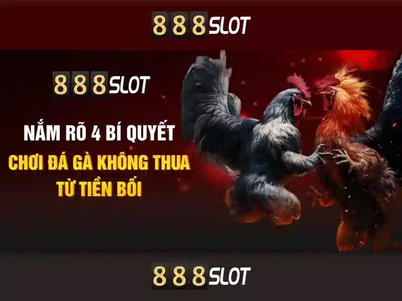 Khuyến mãi và chương trình thưởng