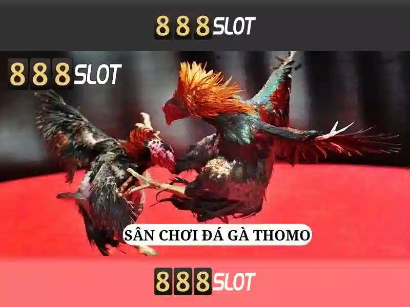 https://888slot.de.com/images/text/888slot/888slot-text2603301644.webp Khuyến mãi và chương trình VIP