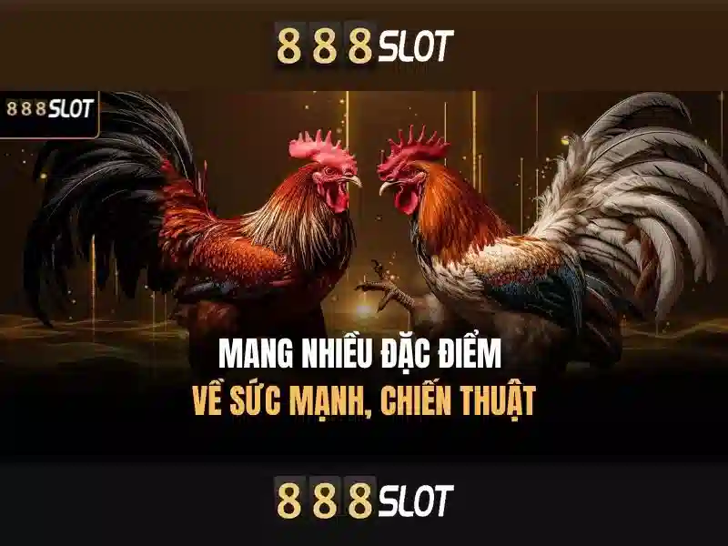 Giao diện và trải nghiệm người dùng