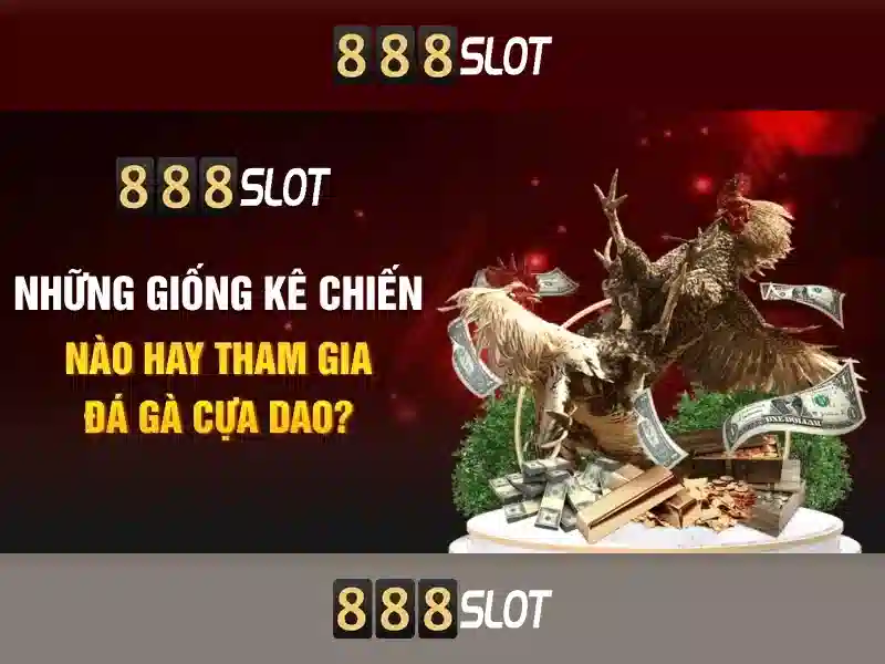 Giao diện nhà cái hoàn hảo