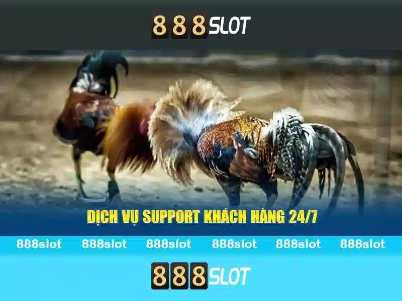 https://888slot.de.com/images/text/888slot/888slot-text260305532.webp Khuyến mãi và chương trình thưởng