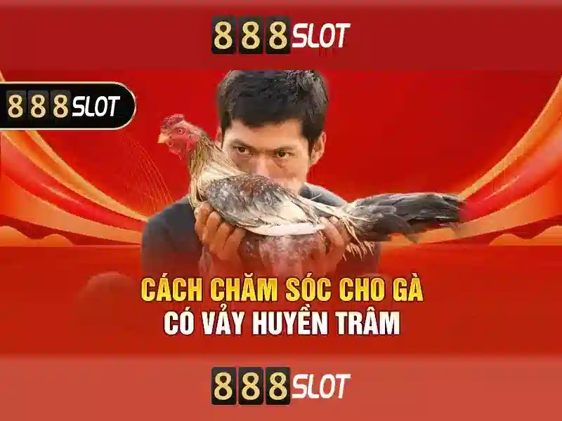 888slot: Đánh giá và trải nghiệm slot trực tuyến