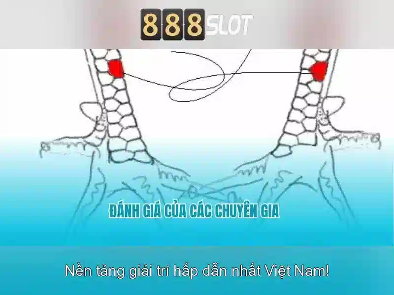 Hỗ trợ khách hàng và trải nghiệm di động