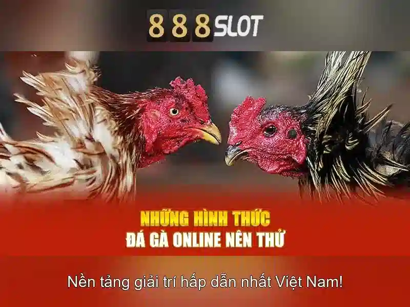 Khuyến mãi và chương trình thành viên