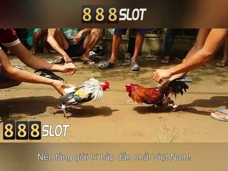 Giao diện nhà cái hoàn hảo