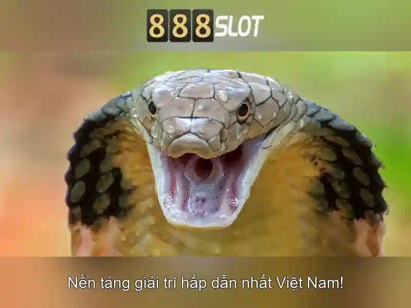 Giao diện nhà cái hoàn hảo