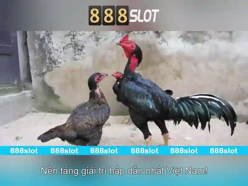 Trò chơi và slot phong phú