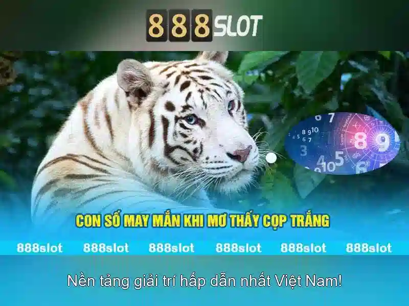 Giao diện nhà cái hoàn hảo