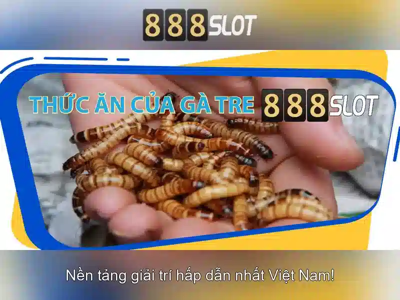 Giao diện nhà cái hoàn hảo