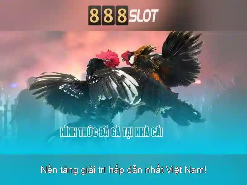 Sản phẩm cốt lõi và ứng dụng thực tế