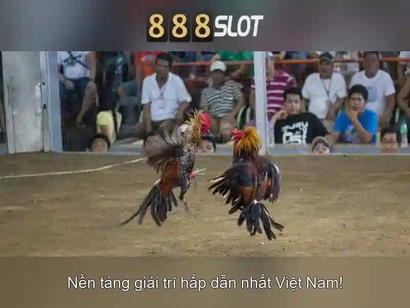 https://888slot.de.com/images/text/888slot/888slot-text2603311275.webp Tính năng đăng ký và trải nghiệm người dùng