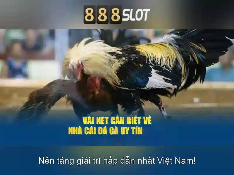 888slot: Sàn chơi slot online nổi bật tại Việt Nam